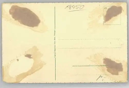 Amberg Oberpfalz Amberg Ziegeltor ungelaufen ca. 1920 / Amberg /Amberg Stadtkreis