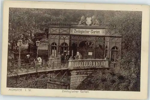 Muenster Westfalen Muenster Westfalen Zoologischer Garten x / Muenster /Muenster Stadtkreis