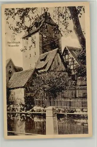 Hersbruck Wassertor * 1920