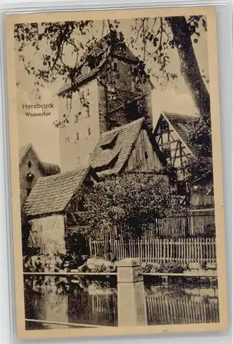 Hersbruck Wassertor * 1920