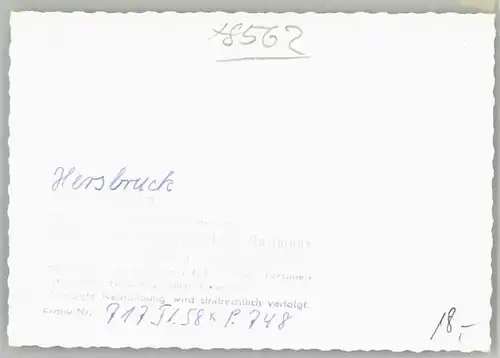 Hersbruck Fliegeraufnahme * 1958