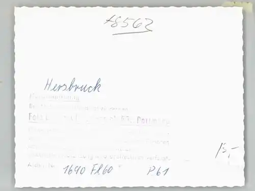 we05169 Hersbruck Hersbruck Fliegeraufnahme * 1960 Kategorie. Hersbruck Alte Ansichtskarten