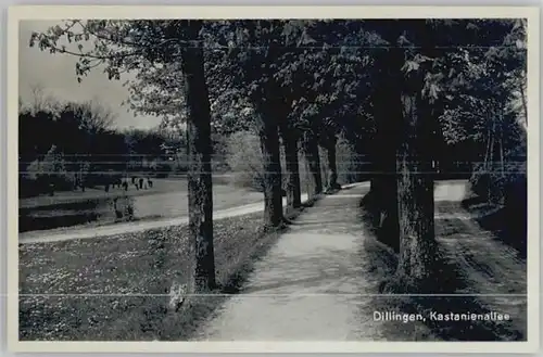 Dillingen Donau Kastanienallee *