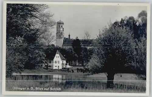 Dillingen Donau Schloss *