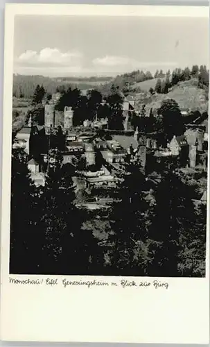 Monschau Burg x