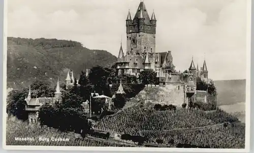 Cochem Burg *