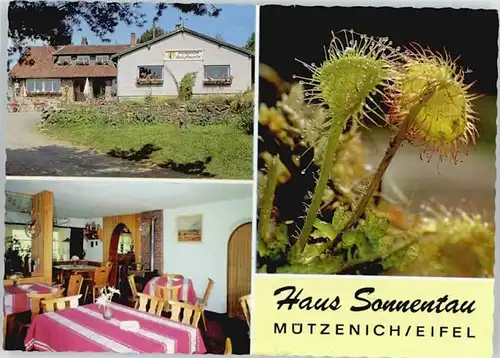 Monschau Pension Haus Sonnentau *