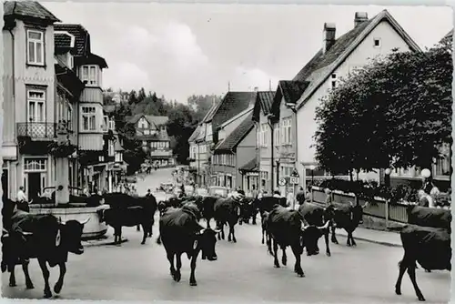 Braunlage Damenkapelle x