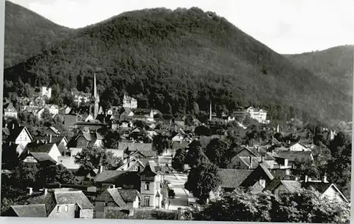 Bad Harzburg Burgberg *