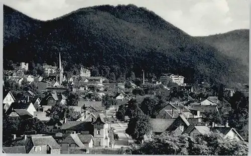 Bad Harzburg Burgberg *