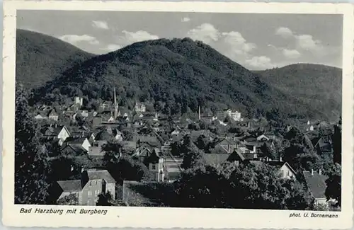 Bad Harzburg Burgberg x