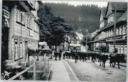 Altenau Harz Damenkapelle *