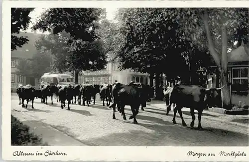 Altenau Harz Marktplatz *