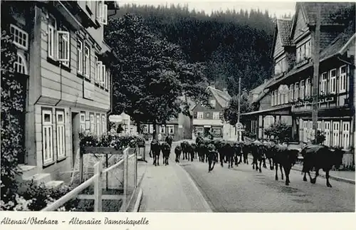 Altenau Harz Damenkapelle *