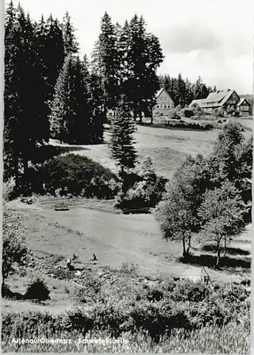 Altenau Harz Schwefelquelle *