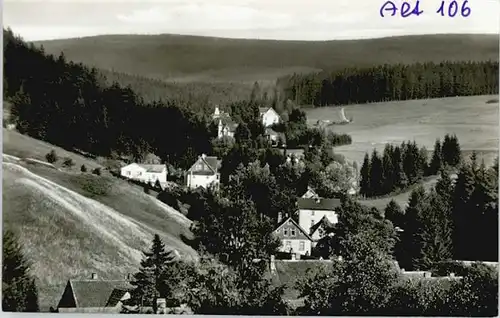 Altenau Harz Villenviertel Wolfswarte *