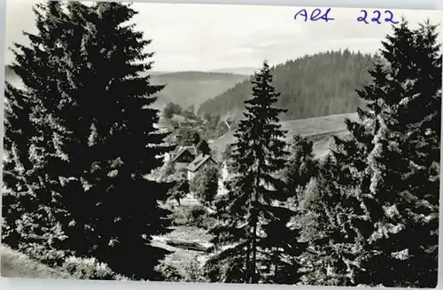 Altenau Harz Kleine Oker *