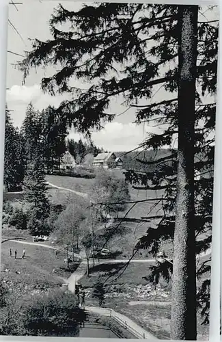 Altenau Harz Schwefelquelle *