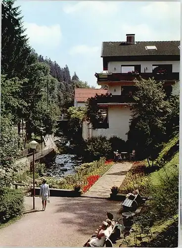 Altenau Harz Malerwinkel Kurpark *