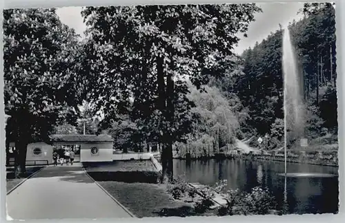 Bad Harzburg Kurpark x