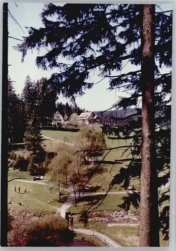 Altenau Harz Schwefelquelle *