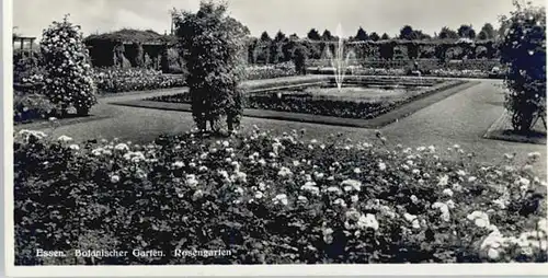 Essen Ruhr Essen Botanischer Garten Rosengarten * / Essen /Essen Stadtkreis