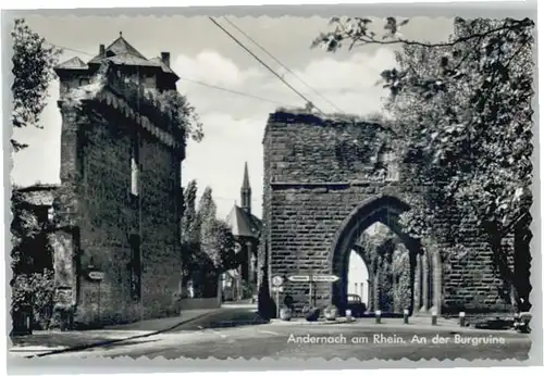 Andernach Burgruine *