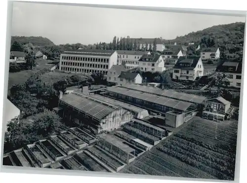 Boppard Gartenbaubetrieb Rudi Decker *