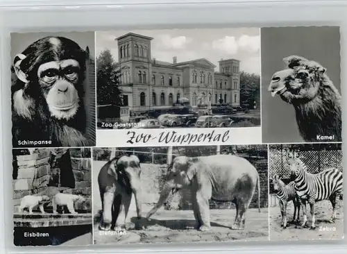 Wuppertal Schimpanse Eisbaeren Zoo Gaststaette  *