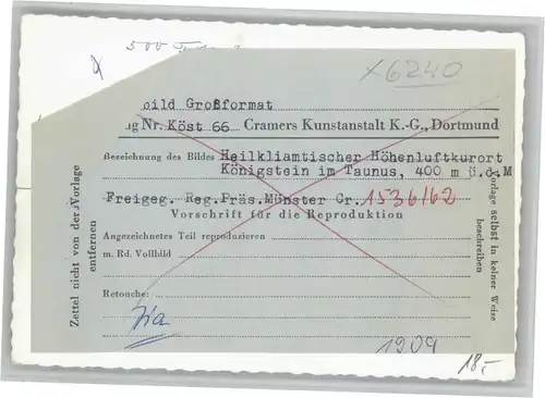 Koenigstein Taunus Fliegeraufnahme *