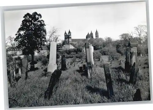 Worms Judenfriedhof Dom *