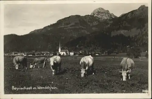 Bayrischzell Wendelstein Kuehe / Bayrischzell /Miesbach LKR