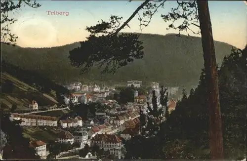 Triberg Gesamtansicht / Triberg im Schwarzwald /Schwarzwald-Baar-Kreis LKR