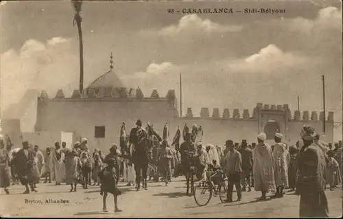Casablanca Sidi Belyout Pferd / Casablanca /