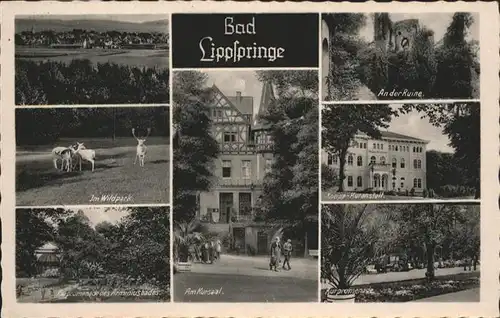 Bad Lippspringe Ruine Kuranstalt Kursaal Wildpark / Bad Lippspringe /Paderborn LKR