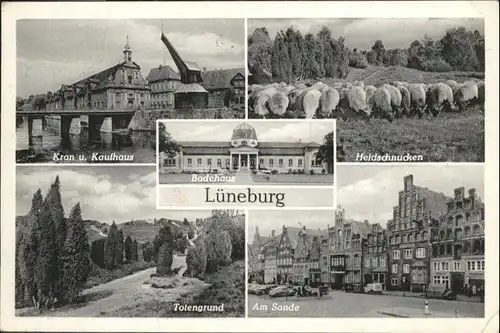 Lueneburg heidschnucken
Kran
kaufhaus
Totengrund / Lueneburg /Lueneburg LKR