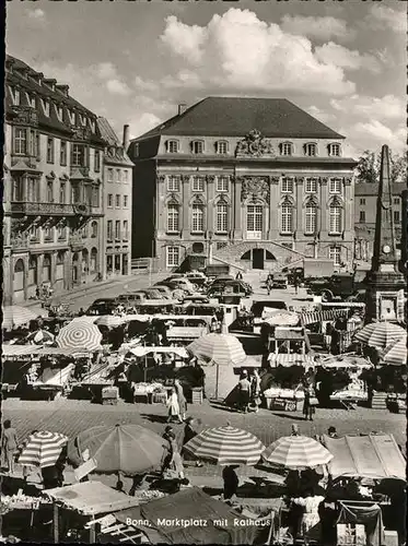 Bonn Rhein Town Hall  / Bonn /Bonn Stadtkreis