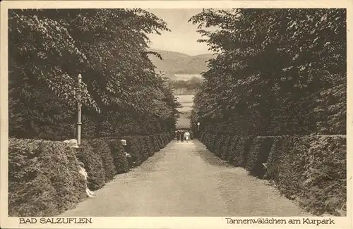 Bad Salzuflen Tannenwaeldchen
Kurpark / Bad Salzuflen /Lippe LKR