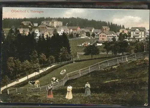 Oberhof Thueringen Kuehe Weide / Oberhof Thueringen /Schmalkalden-Meiningen LKR