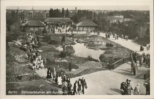 Berlin Sonnenblumen Funkturm / Berlin /Berlin Stadtkreis