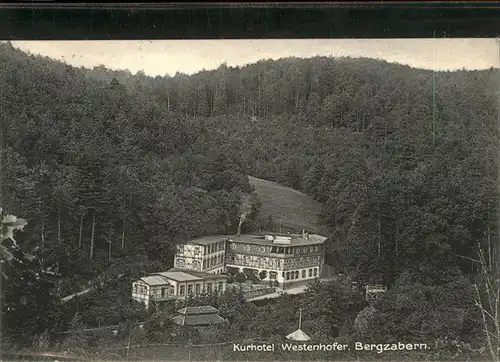 Bad Bergzabern Kurhotel Westenhofer / Bad Bergzabern /Suedliche Weinstrasse LKR