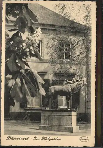 Duesseldorf Im Hofgarten / Duesseldorf /Duesseldorf Stadtkreis
