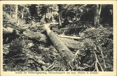 Zwiesel Niederbayern Hoellbachgespreng Naturschutzpark / Zwiesel /Regen LKR