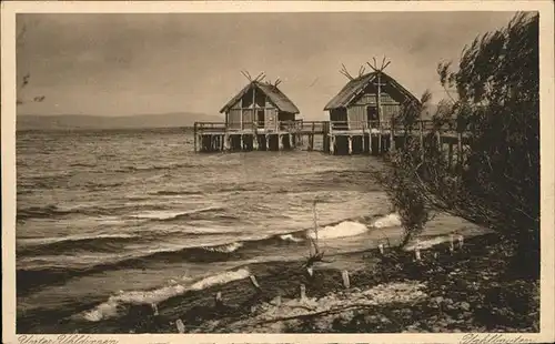 Unteruhldingen Pfahlbauten / Uhldingen-Muehlhofen /Bodenseekreis LKR