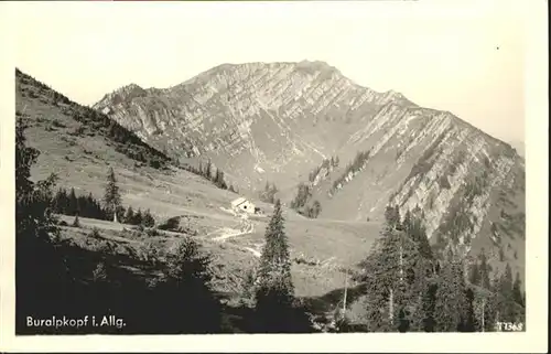 Oberstaufen Buralpkopf / Oberstaufen /Oberallgaeu LKR