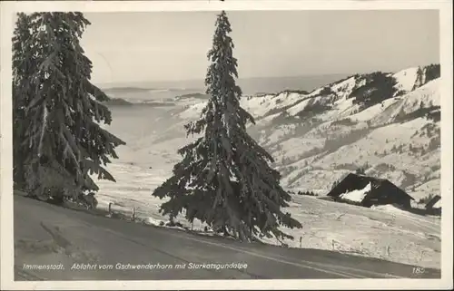 Immenstadt Allgaeu Gschwenderhorn Starkatsgundalpe / Immenstadt i.Allgaeu /Oberallgaeu LKR