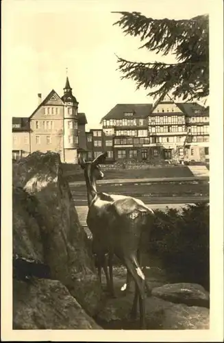 Oberhof Thueringen Hirsch / Oberhof Thueringen /Schmalkalden-Meiningen LKR