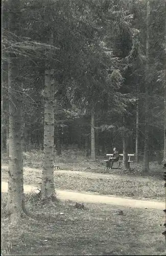 Brunshaupten Waldweg / Kuehlungsborn /Bad Doberan LKR