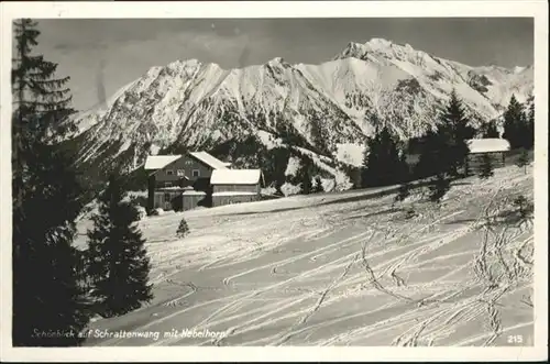 Oberstdorf Schrattenwang
Nebelhorn / Oberstdorf /Oberallgaeu LKR