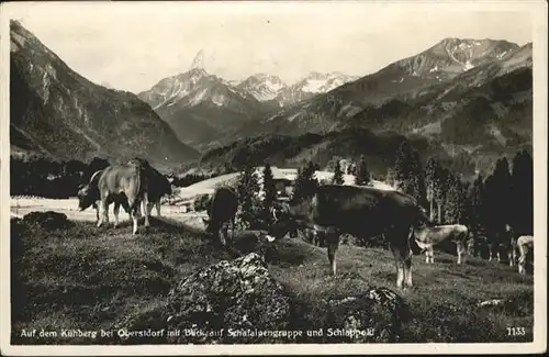 Oberstdorf Kuehberg Schafalpengruppe / Oberstdorf /Oberallgaeu LKR